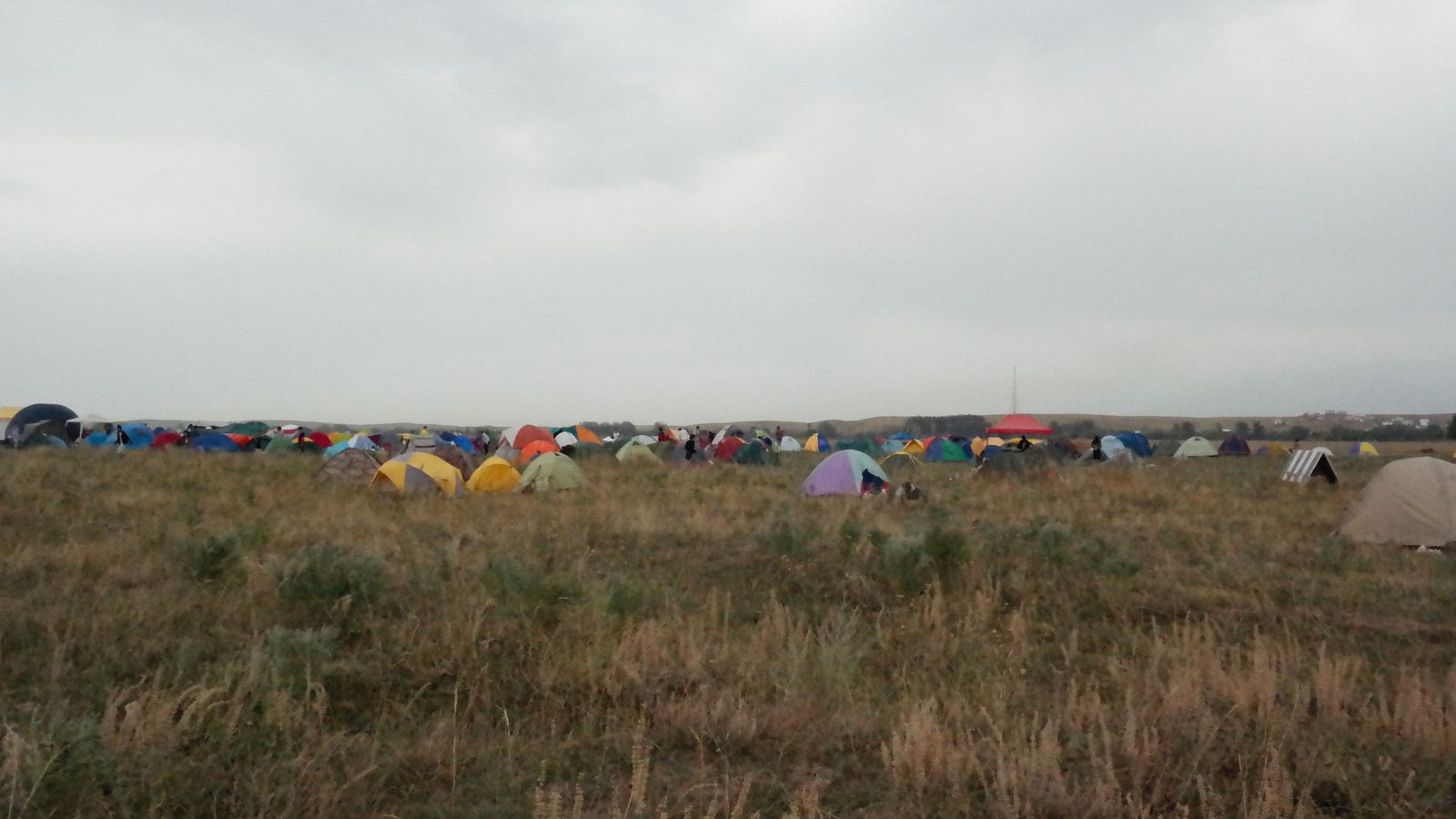 Tents across a festival campsite field