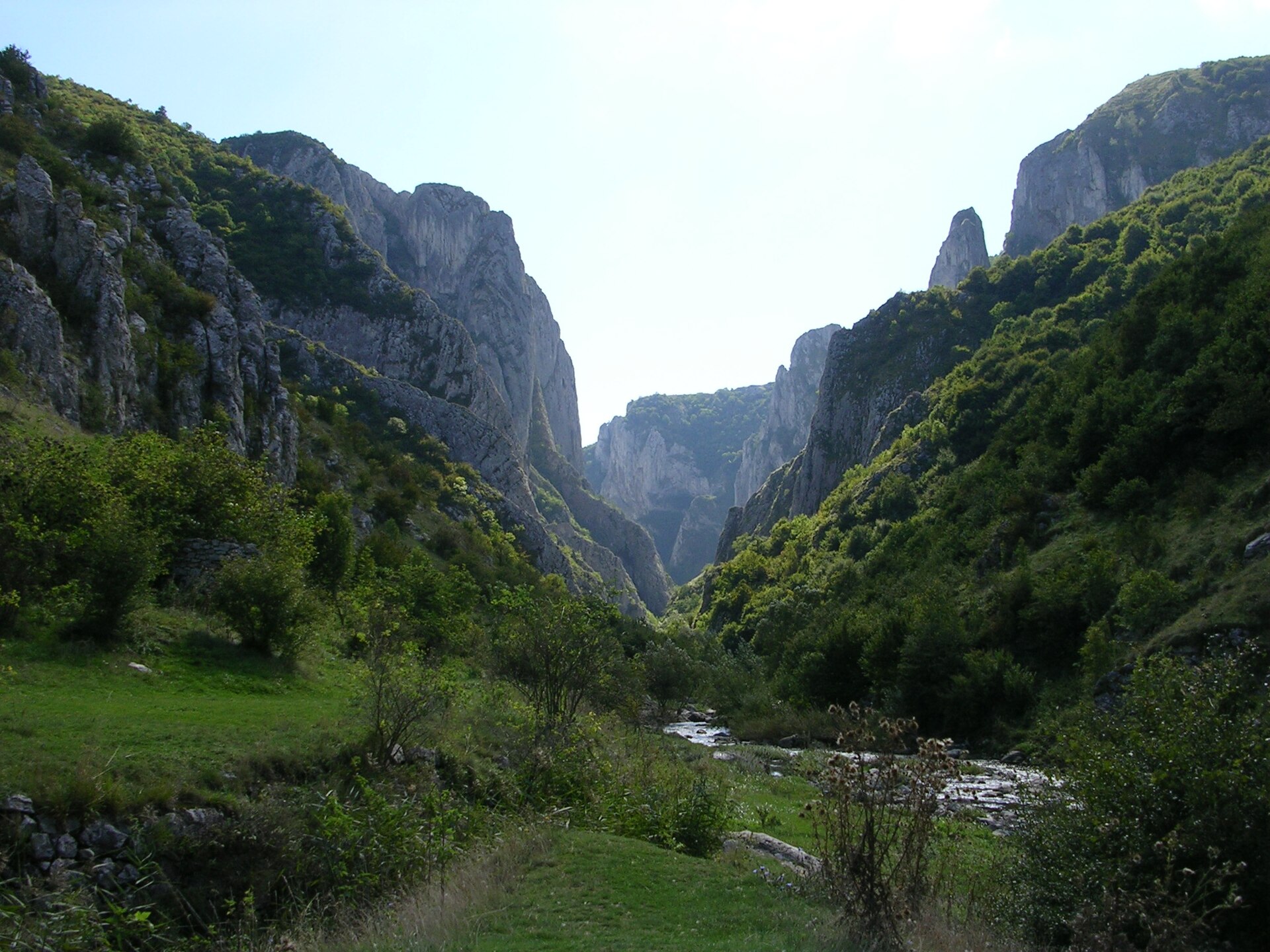 Limestone cliffs of Cheile Turzii (Turda Gorge) near Cluj-Napoca