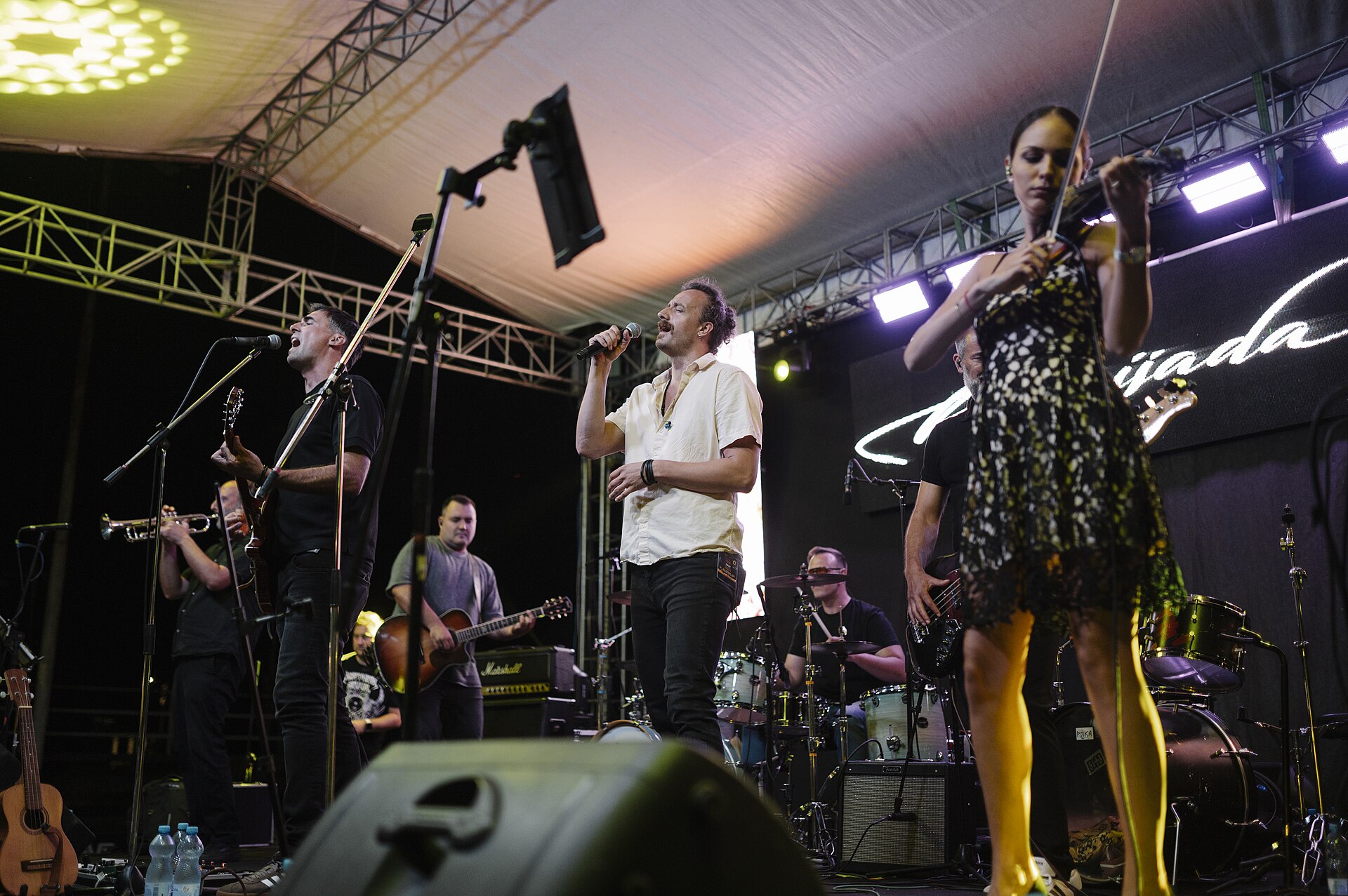 Energetic crowd at an outdoor summer music festival