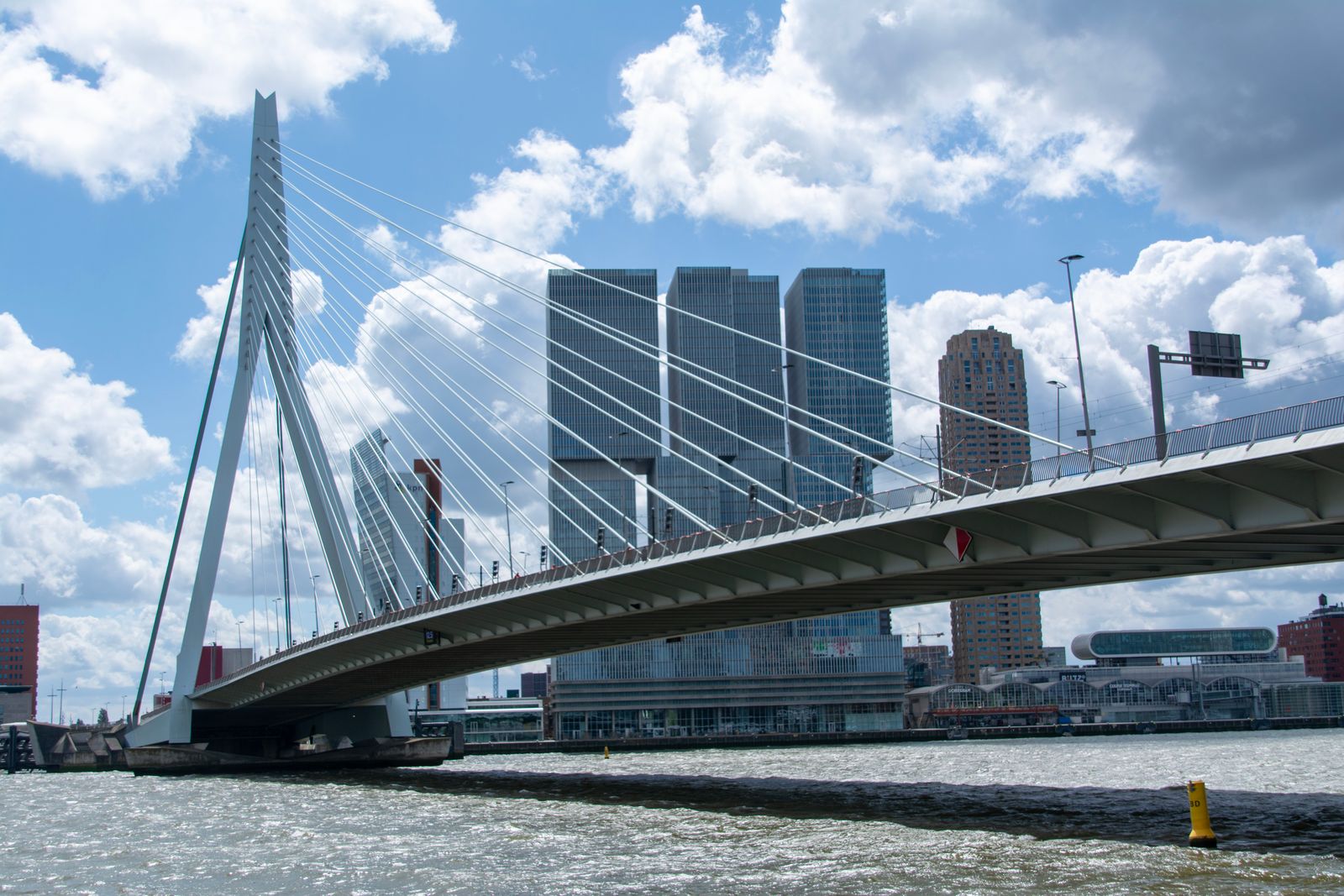 Erasmus Bridge spanning the river beside Rotterdam’s modern skyline under a cloudy sky